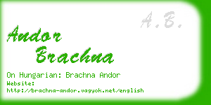 andor brachna business card